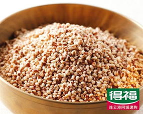 葵花盘如何加工成高营养饲料，适用于哪些动物食用？