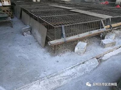 养殖场疫病监测与防控指导