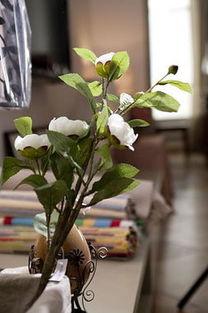 果花朵歪斜较严重， 单纯扶正可嫩法解决问