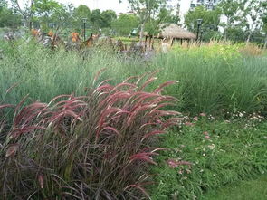 专业花境的设计智慧