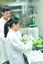 检测站：检测农产品， 合格率高达99.2%