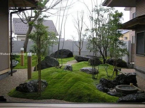 地形与植物：相得益彰的搭配