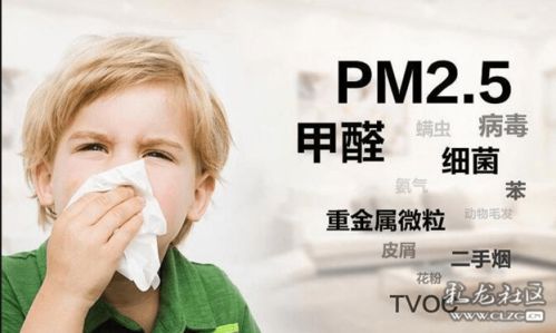 甲醛治理， 持续6个月才放心