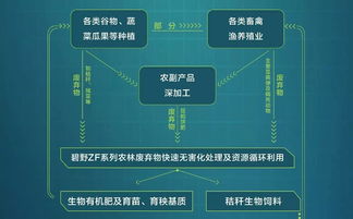 我国畜禽无害化处理如何实现从被动治污到主动创效的高质量发展？