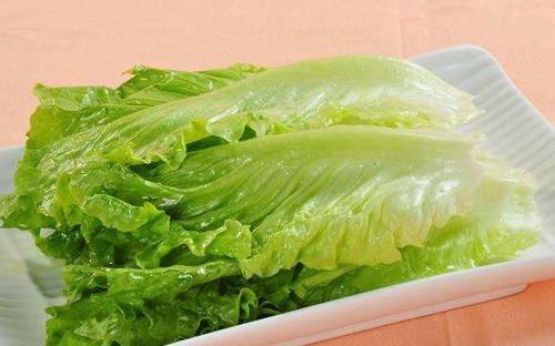 四、 生菜：清新爽口的凉菜伴侣