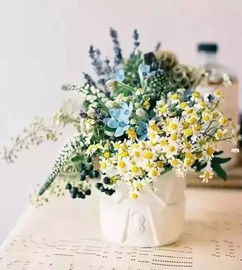 如何施肥才Neng让花卉长得geng壮实？