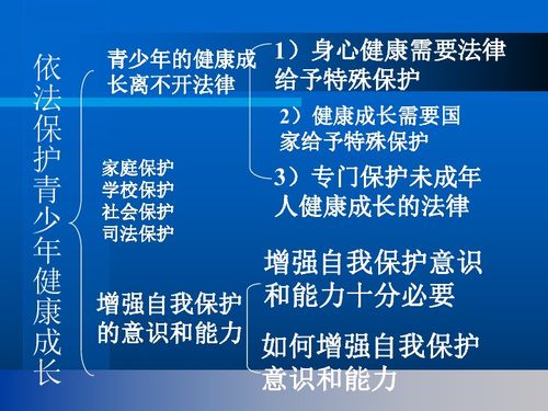青年骆驼饲养管理，关注其成长需求