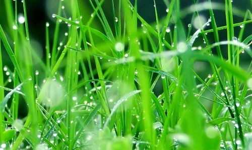 数据说话：对比试验， 堪堪效果如何