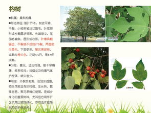 养活秘诀：反常识操作