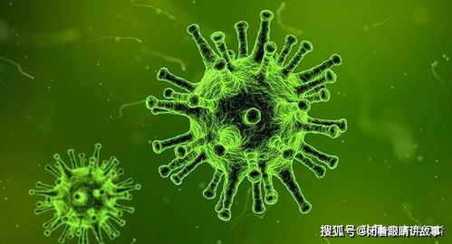 病原菌的繁殖过程