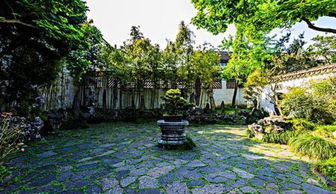庭院种植桂花树有什么禁忌和日常养护要点
