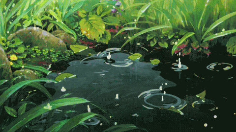 种植时间：雨季中的小秘密