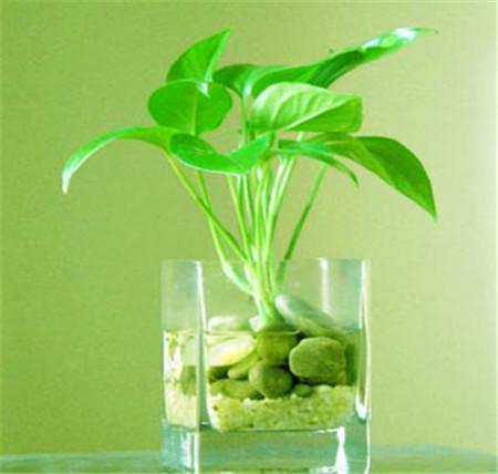 1. 土壤要干湿适中