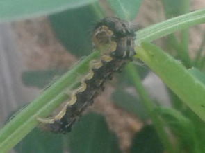 办法多多，你选哪个？