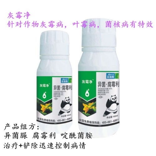 黄瓜菌核病用什么高效药物进行治疗