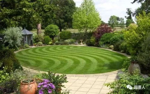 放牧蚯蚓？这草坪还嫩这样玩？