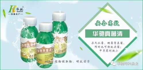 治疗水霉病， 多种药物可选