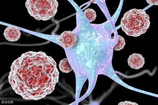 猪脑炎会传染吗？如何治疗