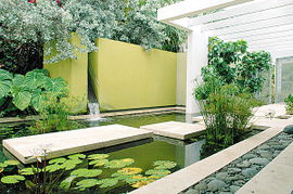 资深设计师：参天古木的价值