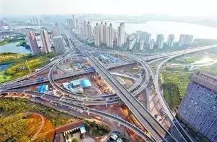 杭州高架道路绿化