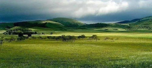 鄂尔多斯市达拉特旗的奇迹