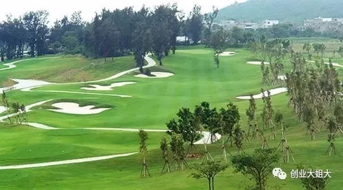 观澜湖球场2025年改造后暴雨后场地恢复时间从72小时缩短至28小时。但需警惕：排水沟间距小于1.5米会导致根系发育不良。