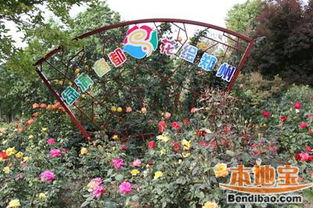 月季花海， 美丽风景线