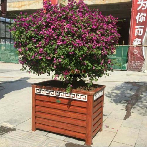 案例分析：上海王阿姨的阳台花园