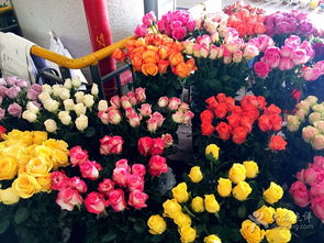 斗南花卉集团， 引领行业发展