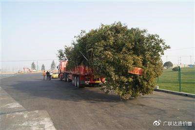 基地考察与购买建议