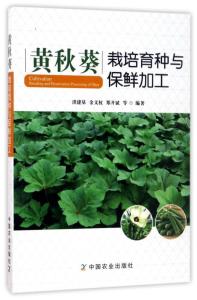 黄秋葵贮藏与加工，探讨其保鲜与深加工技术