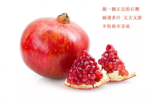 枣石榴贮藏过程中易发生腐烂，需探究有效保鲜方法