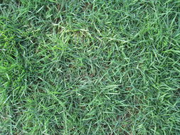 浇水与撒播， 细节决定成败