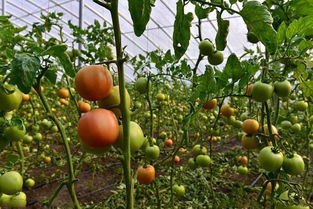 禁忌事项， 一定要记牢