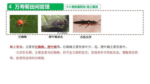 田间用药要均匀