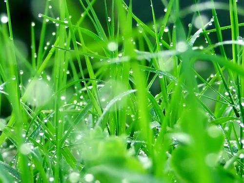 网红教程，害人不浅