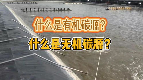 晚上给水产养殖补碳源，有哪些无机碳源适合使用？