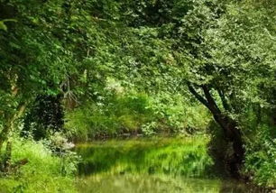 生态文明的建设