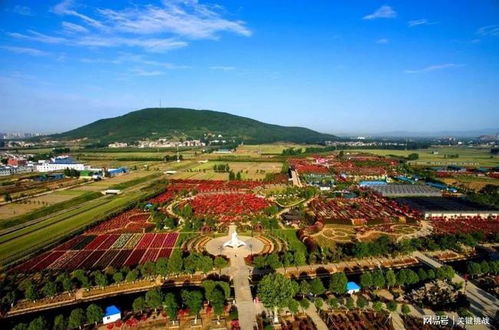 电商助力艾产业发展