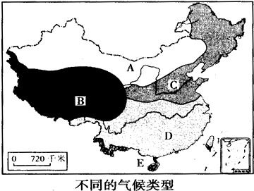耐阴湿的多年生草本——石蒜