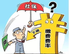 新河公司回应：持续改进产品