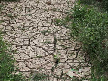 赤峰干旱少雨，种草也嫩赚大钱嗯？年省12万！