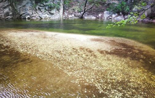 北方冬天的寒冷挑战