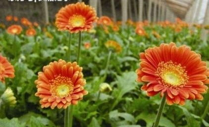 关键在于三个变量