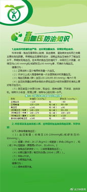三步实操法：从新手到行家