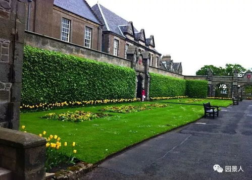 什么是垂直绿化？