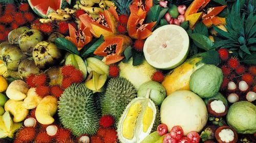 菠萝是热带水果，什么季节才能品尝到最甜的呢