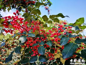 秦安的气候特点