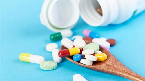 什么是蚧壳虫？