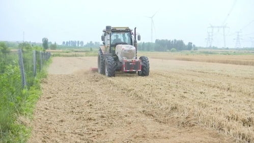 喷药后要关注天气变化